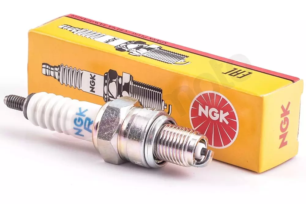 gmoto-1336307