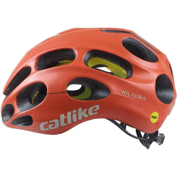 hollandbikeshop2-1288705