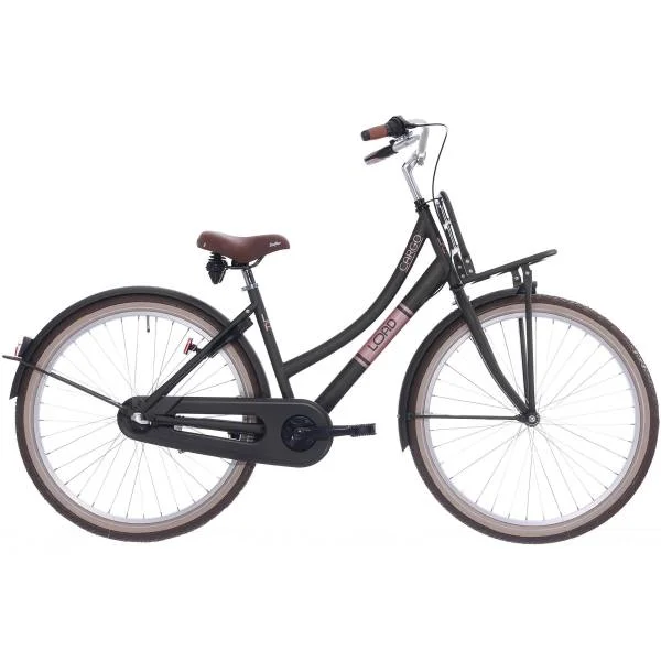 hollandbikeshop2-1309019