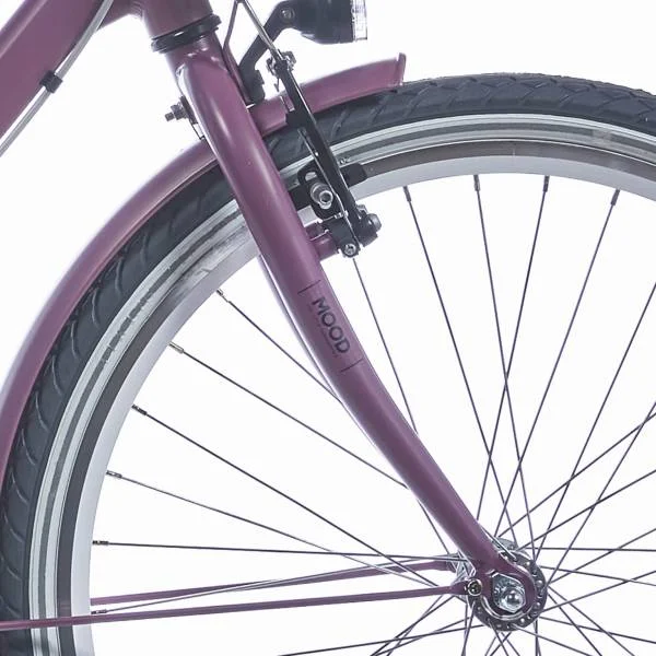hollandbikeshop2-1369794