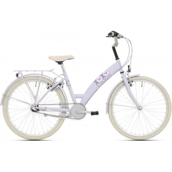 hollandbikeshop2-1370313