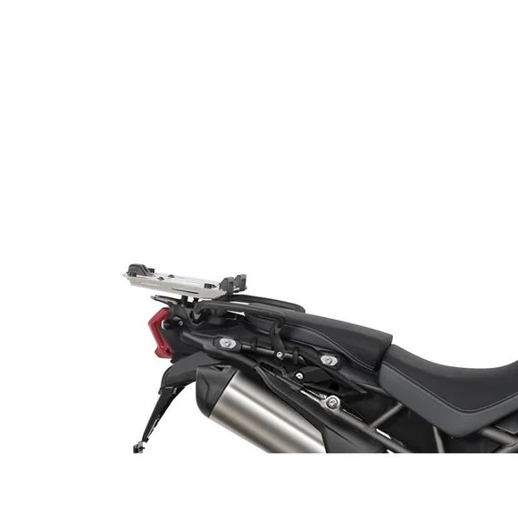 media.motoblouz1-1252726